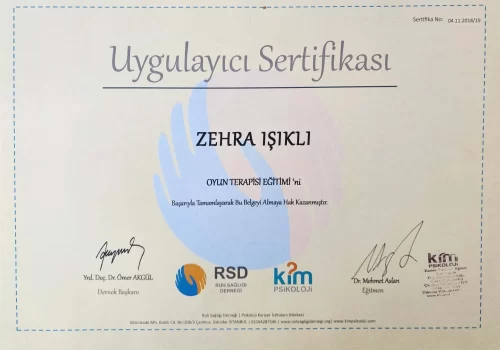 Oyun Terapisi Eğitimi