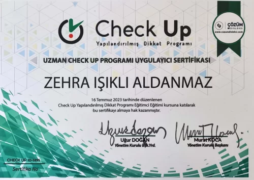 Yapılandırılmış Dikkat Programı